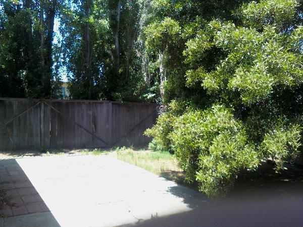 Building Photo - Charming San Mateo Home for Rent...