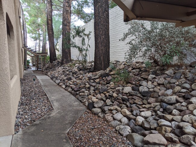 Pleasant, shaded walk ways - 5750 N Camino Esplendora