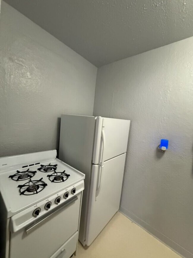 Building Photo - 1060 N Downing St