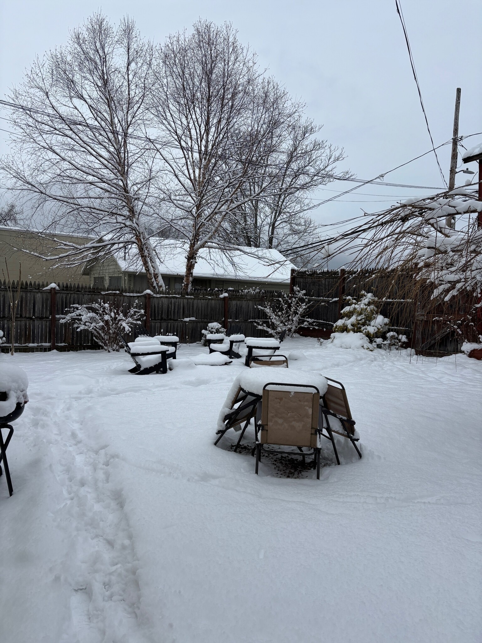 Building Photo - 552 Columbia St