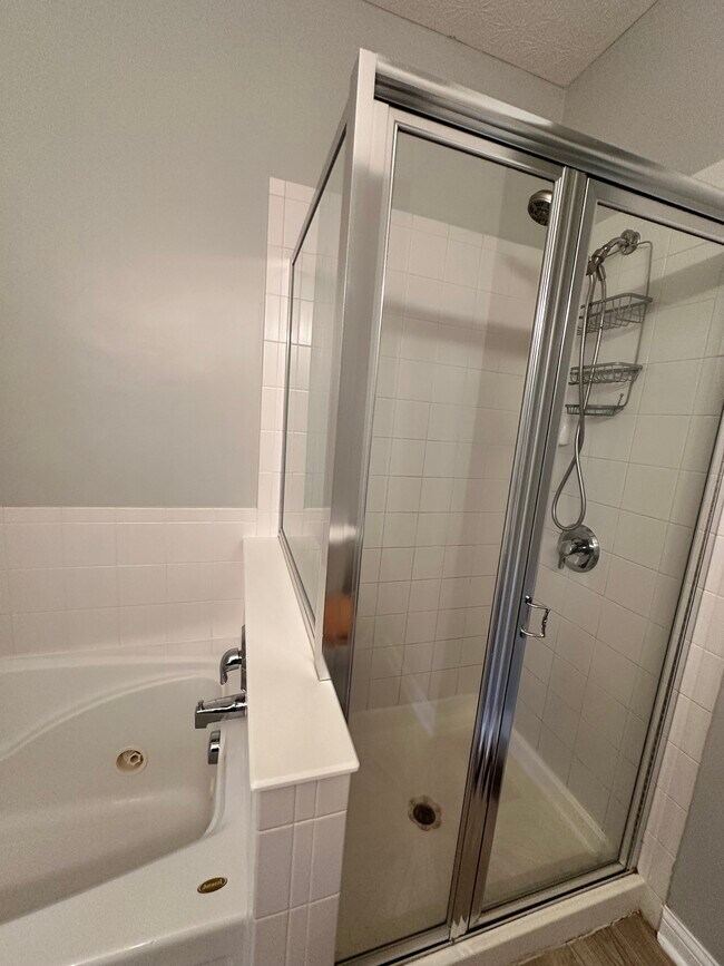 Standing Shower - 4118 Cambron Dr