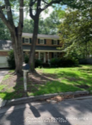 Primary Photo - 1274 Wappetaw Pl