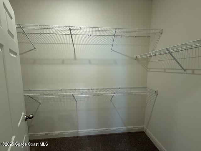 Building Photo - 2942 Embrace Way