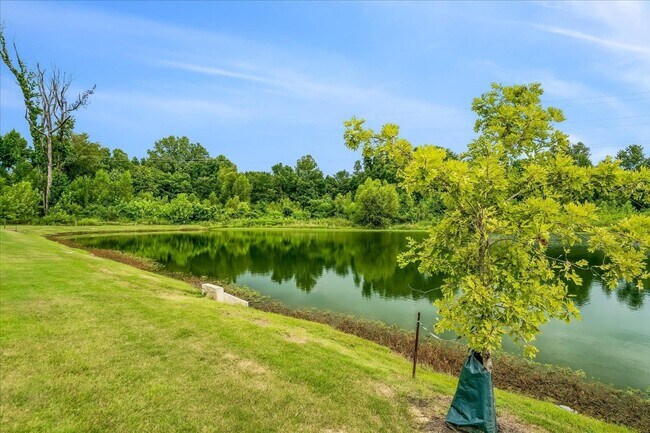 Building Photo - 4786 Barrett Oaks Dr