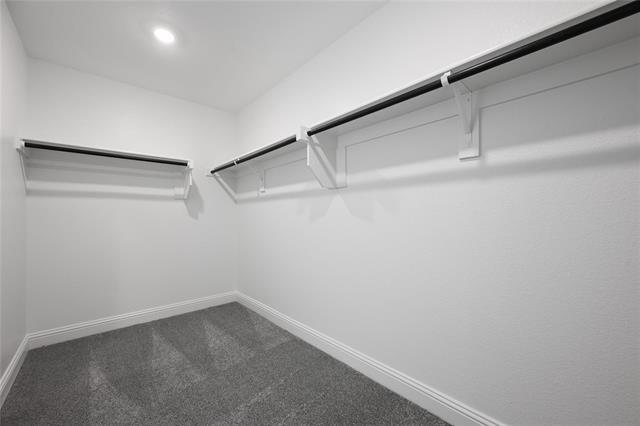 Building Photo - 133 Tornillo Dr