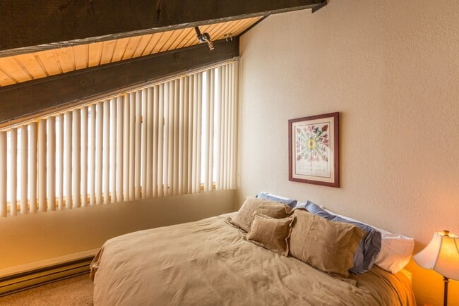 Building Photo - 2 bedroom/2 bathroom condo in Mount Crested Butte