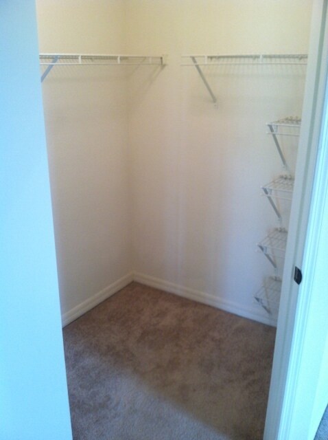 Building Photo - 2nd Floor Unit 2/2 located at Bermuda Dune...
