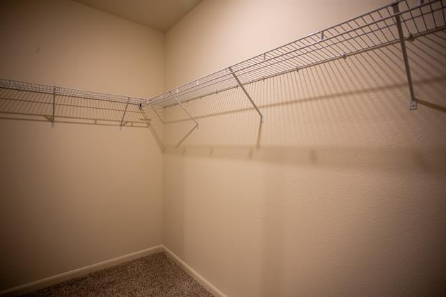 Building Photo - 13526 Musselshell Dr