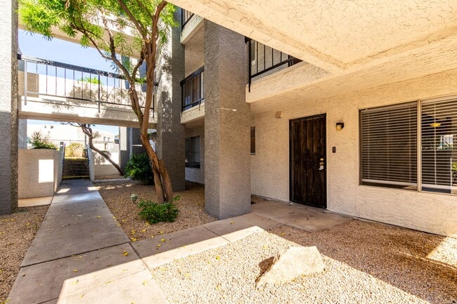 Building Photo - New Listing in Scottsdale