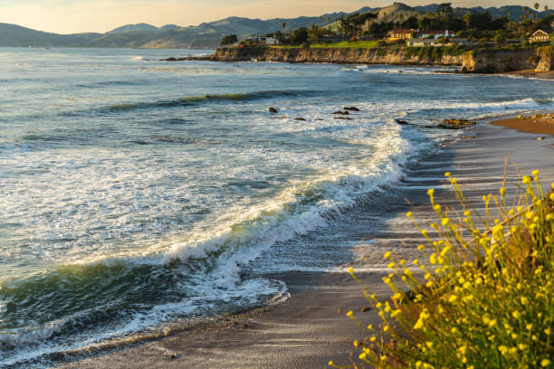 Shell Beach Steps Away - 2698 Spyglass Dr