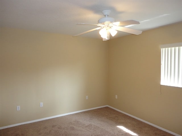 Building Photo - 3118 37th Ter E