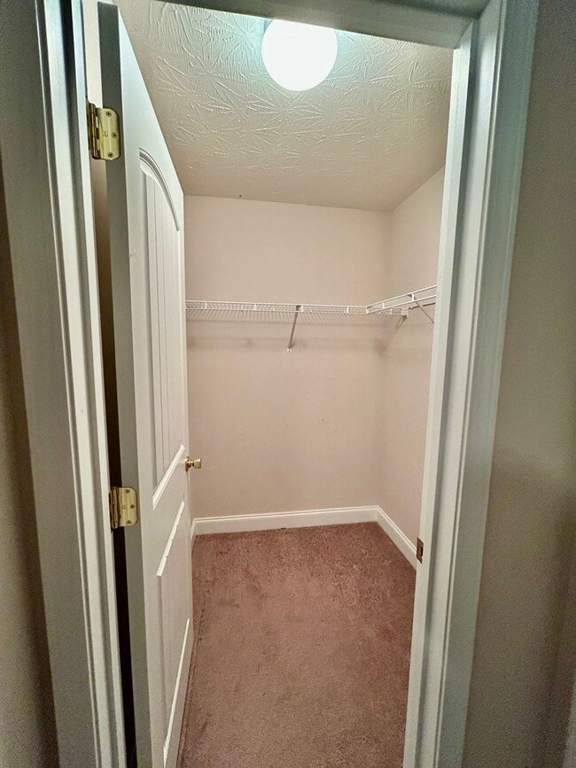 Building Photo - Large 4 Bed, 2.5 bath in Lexington!