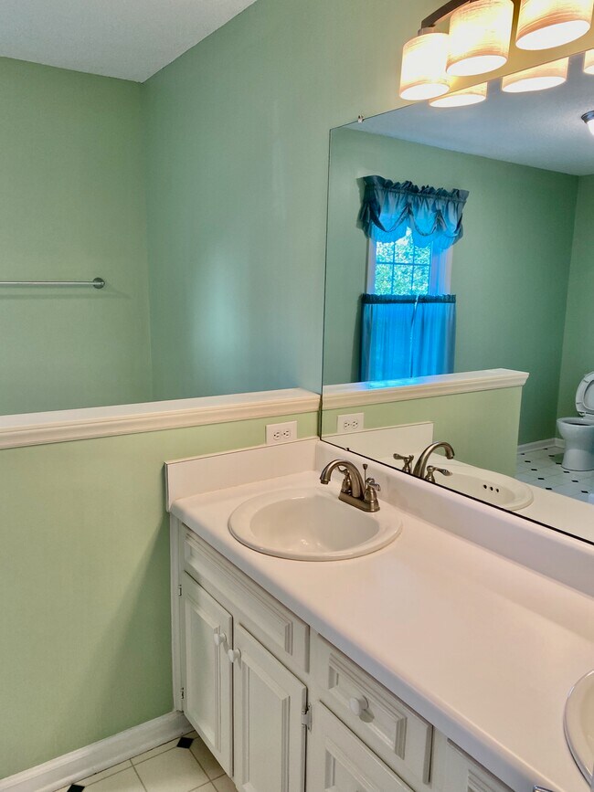 Master bath - 137 Skipwyth Cir