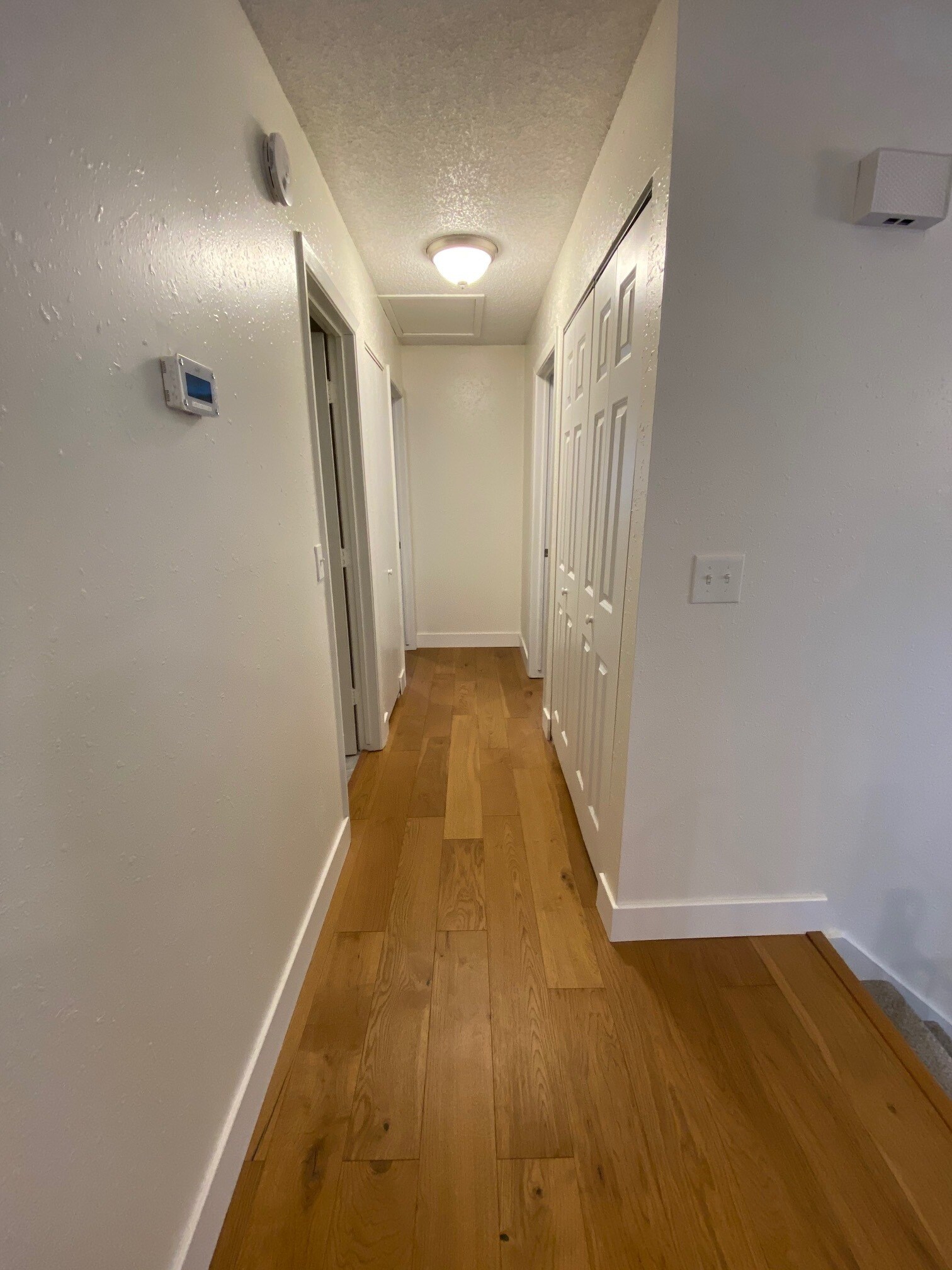 Hallway to bathroom and two bedrooms. Also includes a large closet and smaller closet for storage. - 6228 Magnolia Ln N
