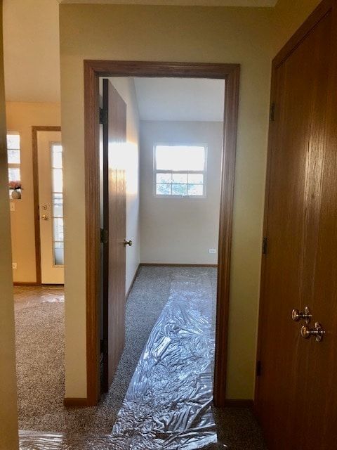 Building Photo - 340 Cunat Blvd