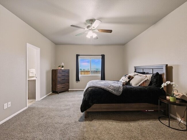 Building Photo - 5332 Gannet Ln