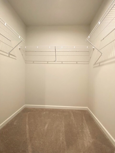 Walk-in closet - 2935 Winterberry Dr