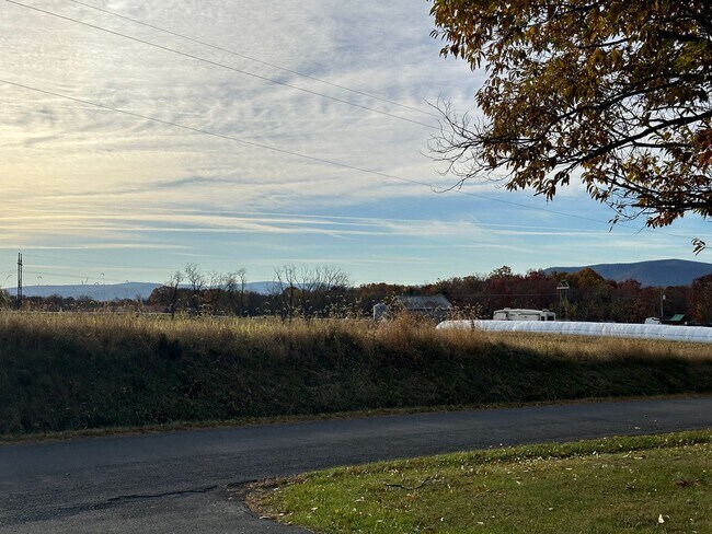 Building Photo - 1308 Minebank Rd