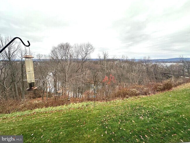 Building Photo - 11 Woods Dr