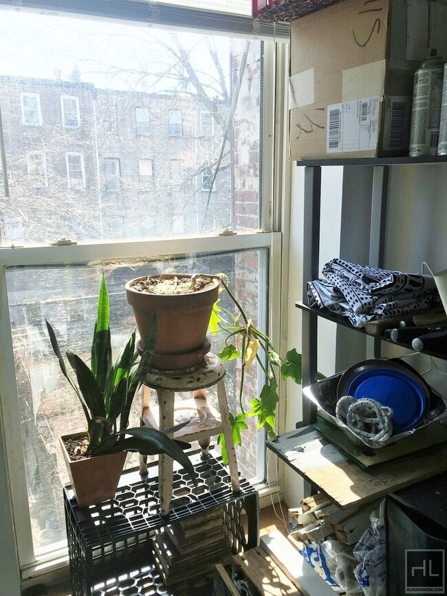 Building Photo - HALSEY STREET