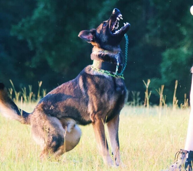 Building Photo - 3908 Old Jonesboro Rd