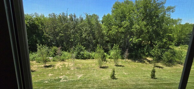 Building Photo - 1606 Mountain Quail Cir