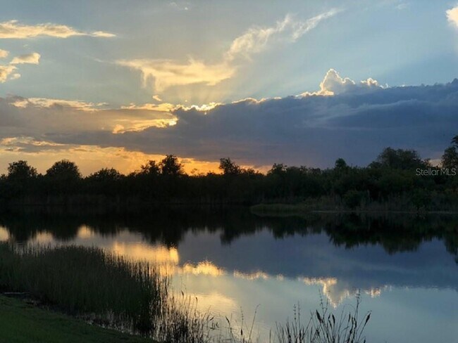 Building Photo - 12337 Ballentrae Forest Dr