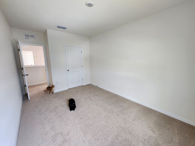 Building Photo - 5242 Scrub Mint Ln