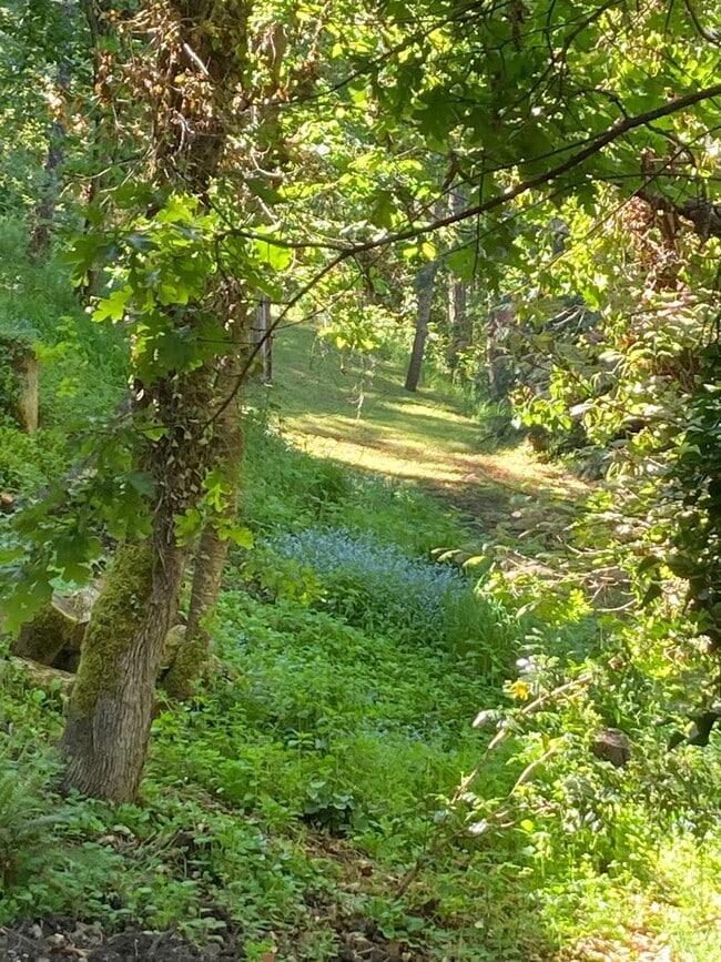 Building Photo - 5020-5020 Saratoga