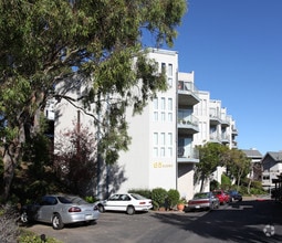 Building Photo - Sausalito Towers