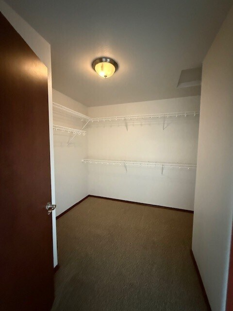 Building Photo - 2050 Andress Ln