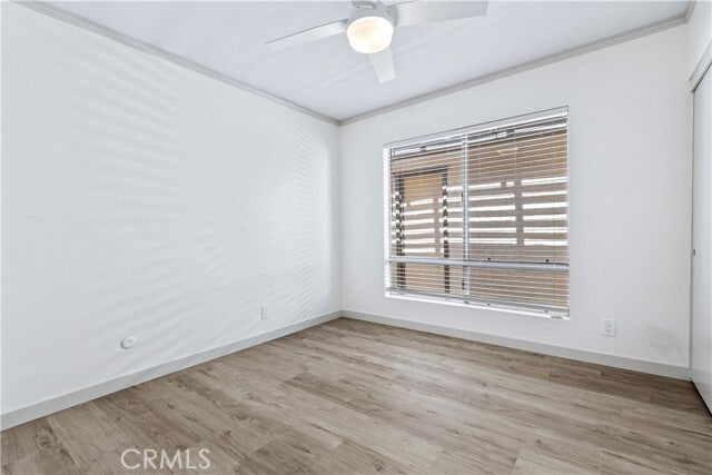 Building Photo - 53 Del Sol Ct