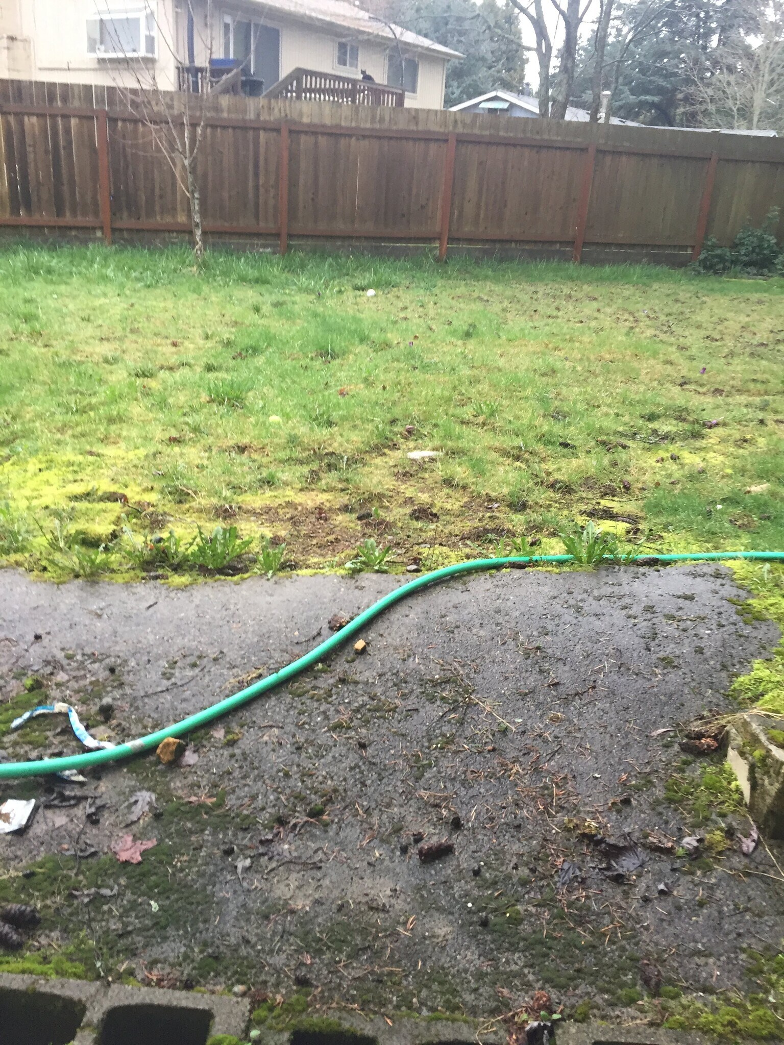 yard - 12312 NE 134th St