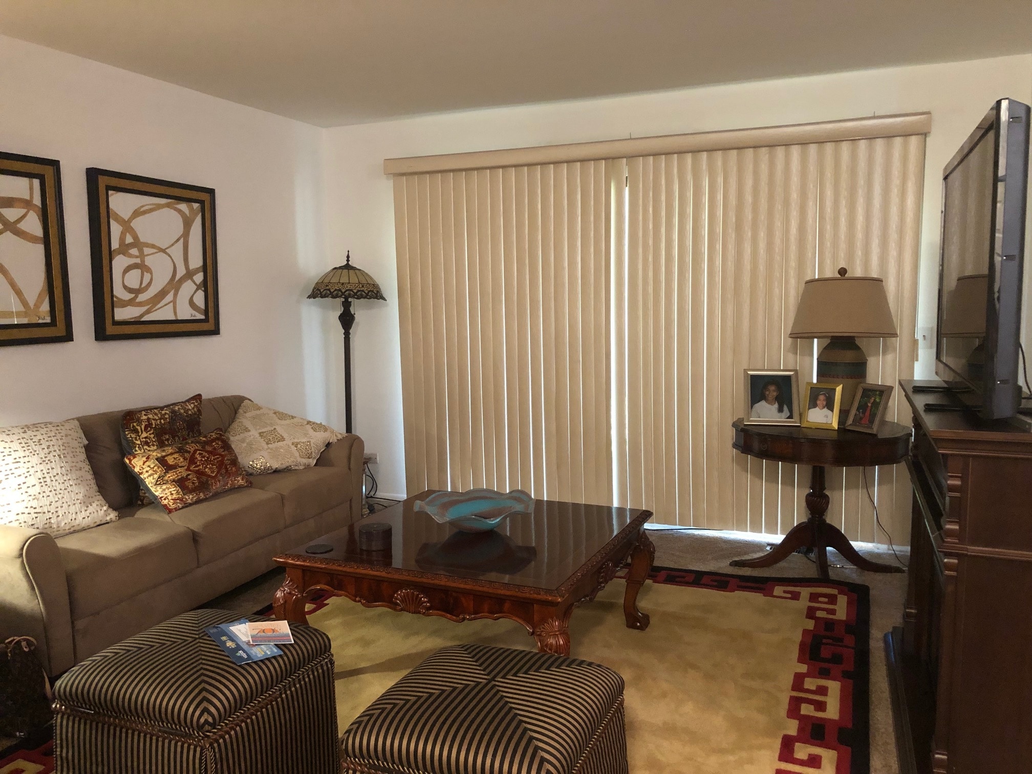 Living Room - 214 Scarsdale Ct