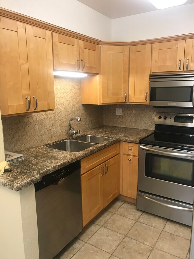 High-end granite and stainless kitchen - 351 Eastridge Dr