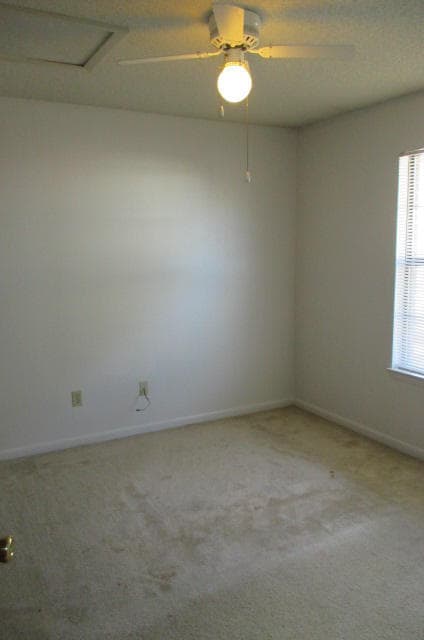 Building Photo - 114 Classic Manor Ct