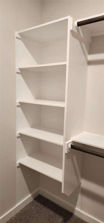 Building Photo - 2341 Moon Tower Trl