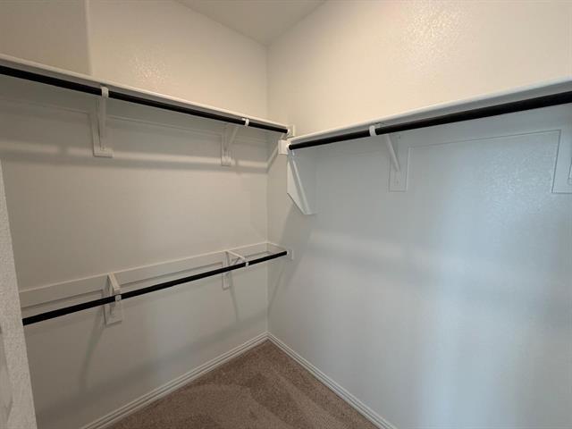 Building Photo - 2521 Birchcrest Dr