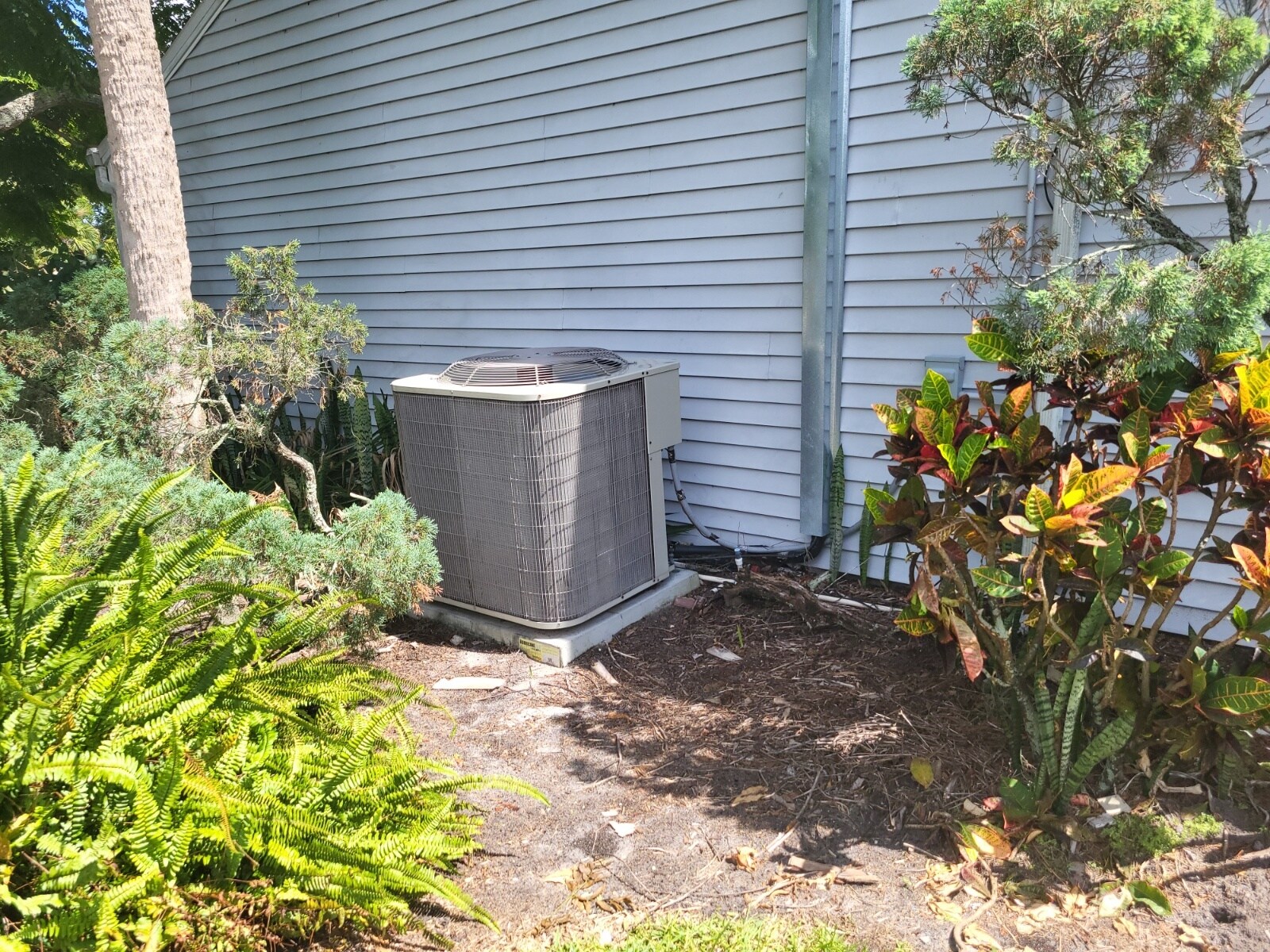 Building Photo - 149 Northshore Cir