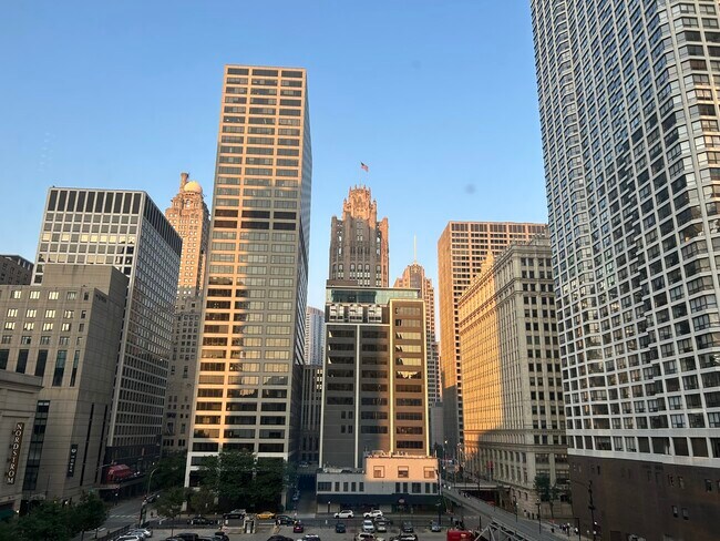 Building Photo - 440 N Wabash Ave