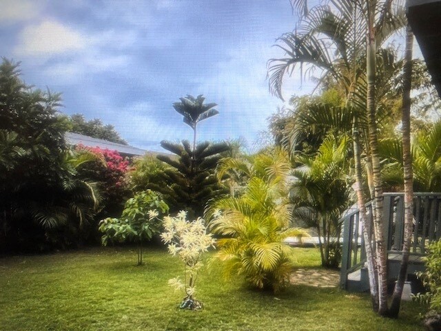 backyard 2 - 13 Waikalani Pl
