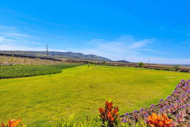 Building Photo - Luxury Ocean View Estate with Infinity Poo...