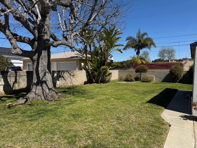 Rear Yard - 2411 22nd St