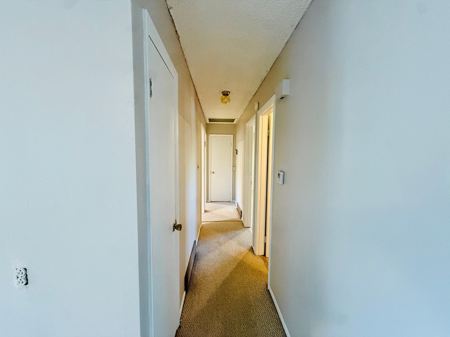 Building Photo - 2509 Royalty Ct