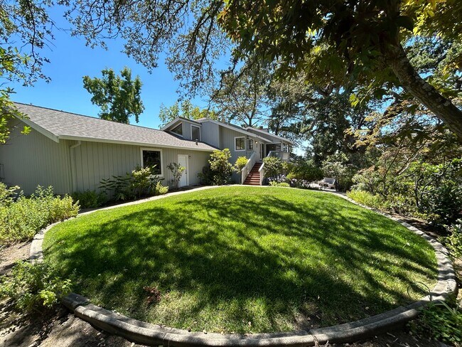 Building Photo - Must See Spacious Alamo 4BR Home with Remo...