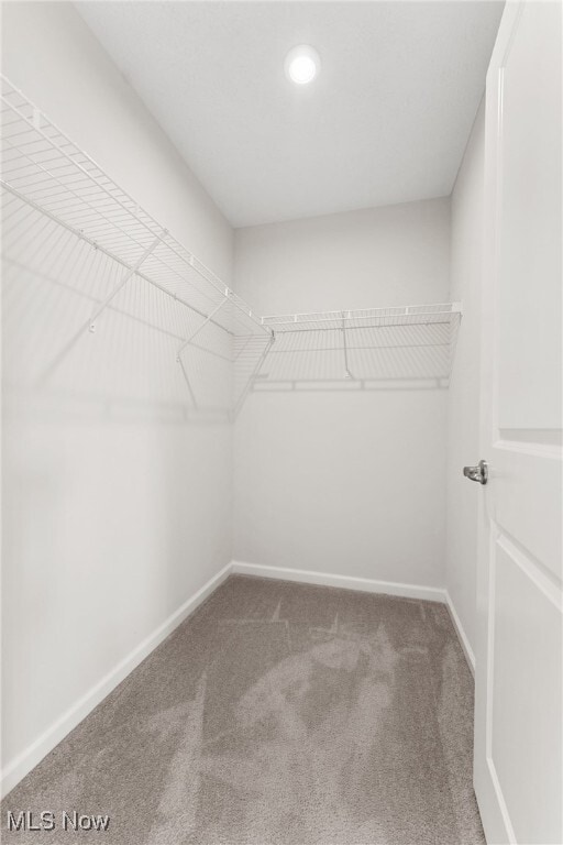Building Photo - 3383 Jackson Park Dr