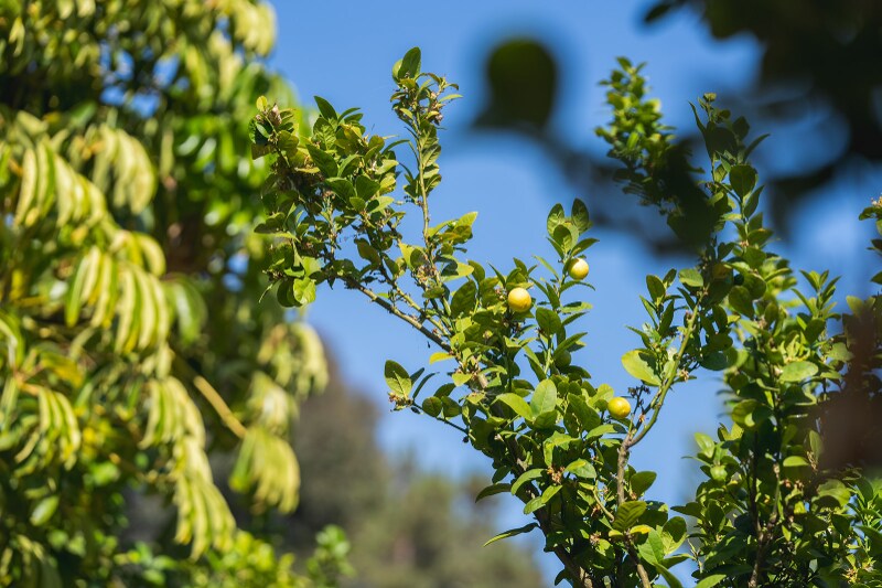 Building Photo - 1135 Meadow Lake Dr