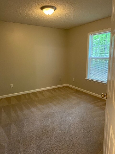 Building Photo - 213 Timberline Ridge Ct