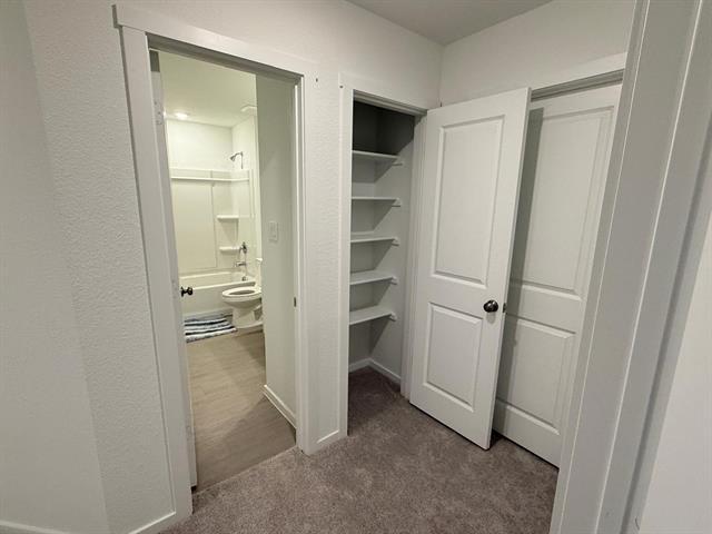 Building Photo - 440 Backcountry Dr