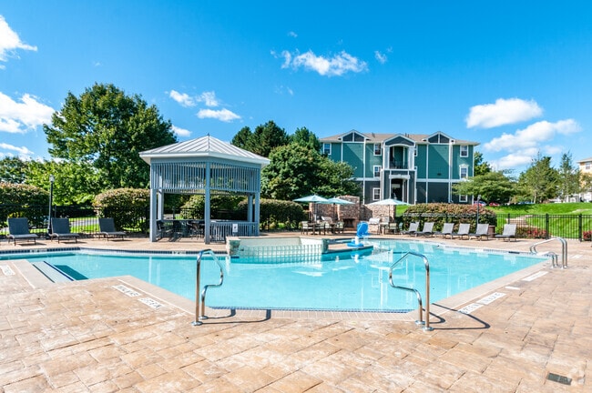 Sparkling Pool and Grill Area